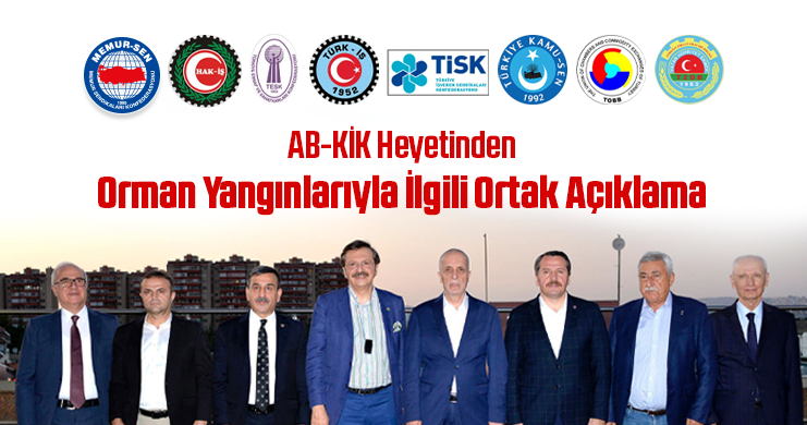 AB-KİK Heyetinden Orman Yangınlarıyla İlgili Ortak Açıklama