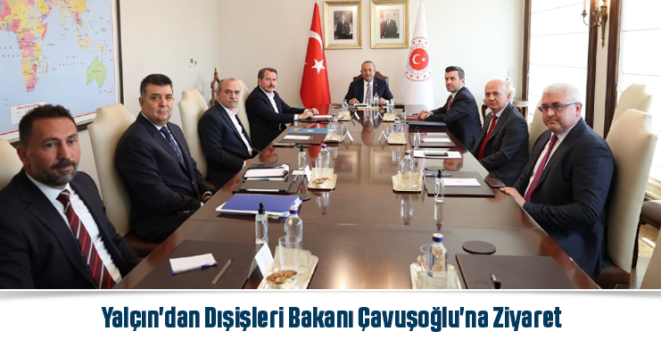 Yalçın'dan Dışişleri Bakanı Çavuşoğlu'na Ziyaret