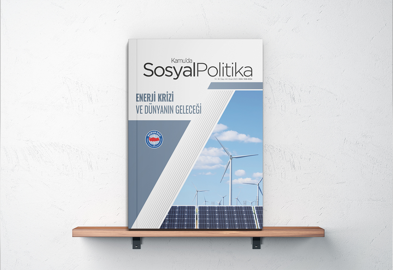 Kamuda Sosyal Politika 44
