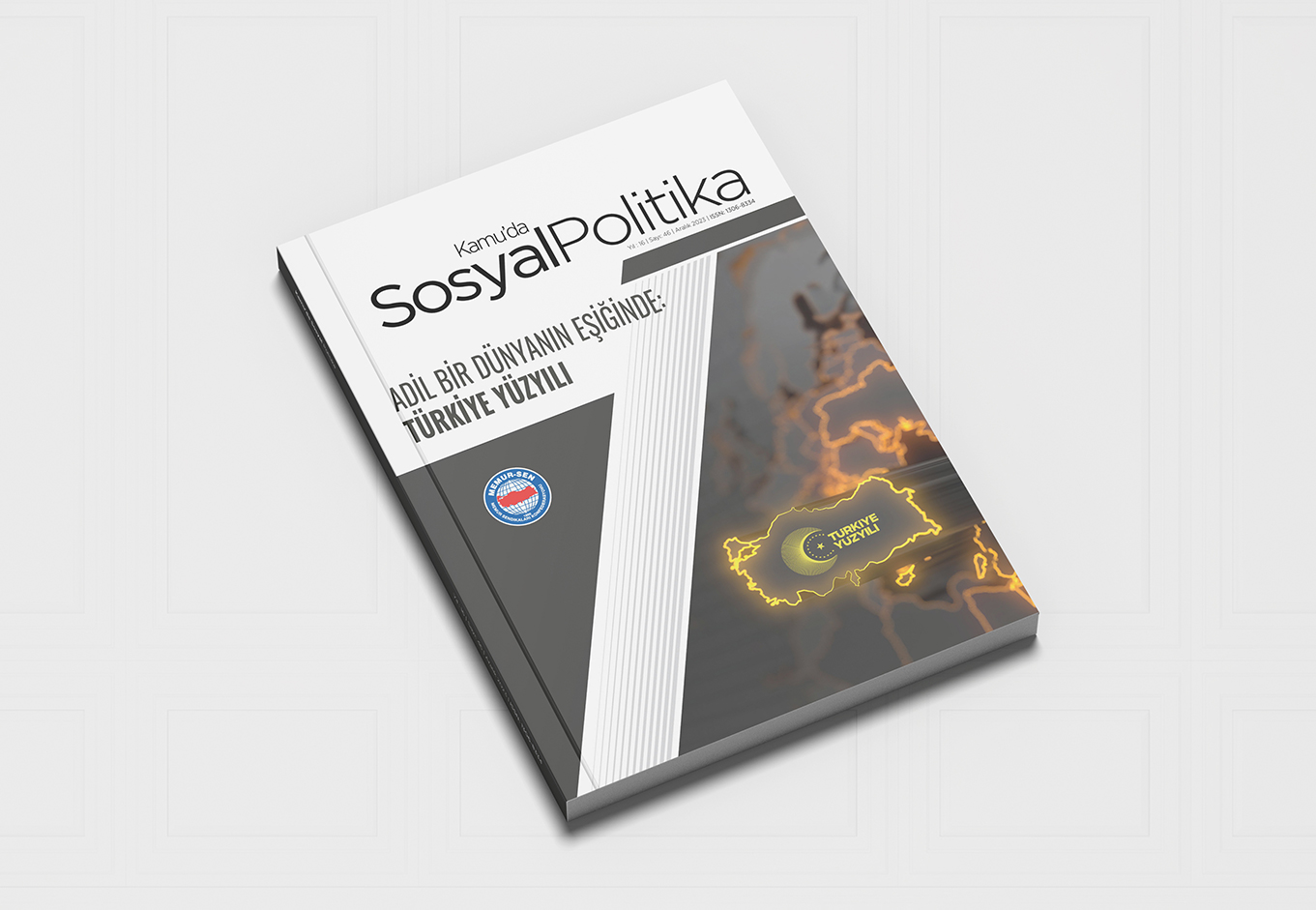Sosyal Politika 46
