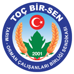 Toç Bir Sen