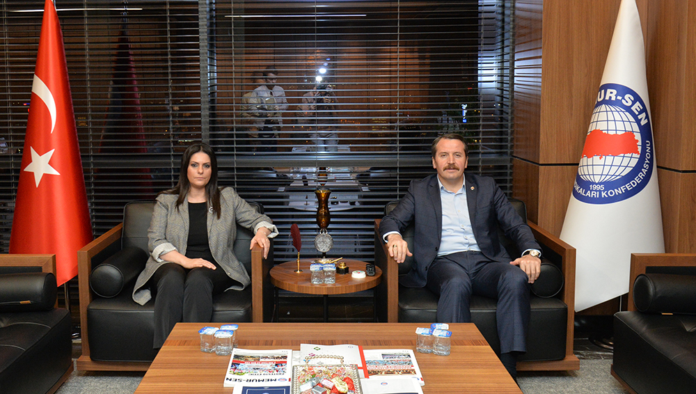 akpartiziyaret4